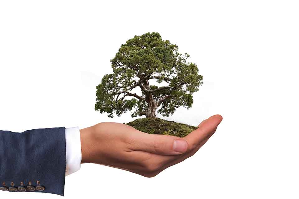SCE TECH ESG